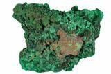 Silky Fibrous Malachite Cluster - Congo #110488-1